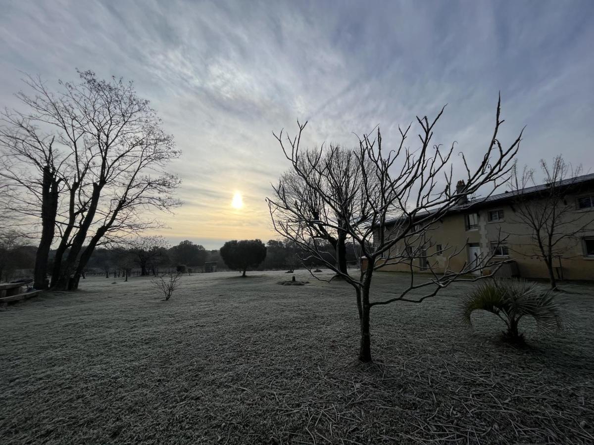 Saint-Caprais-de-Bordeaux Chateau Canteloup B&B 외부 사진